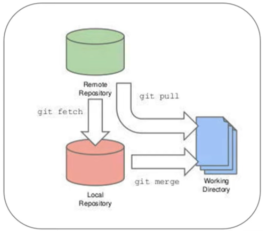 pull = fetch + merge