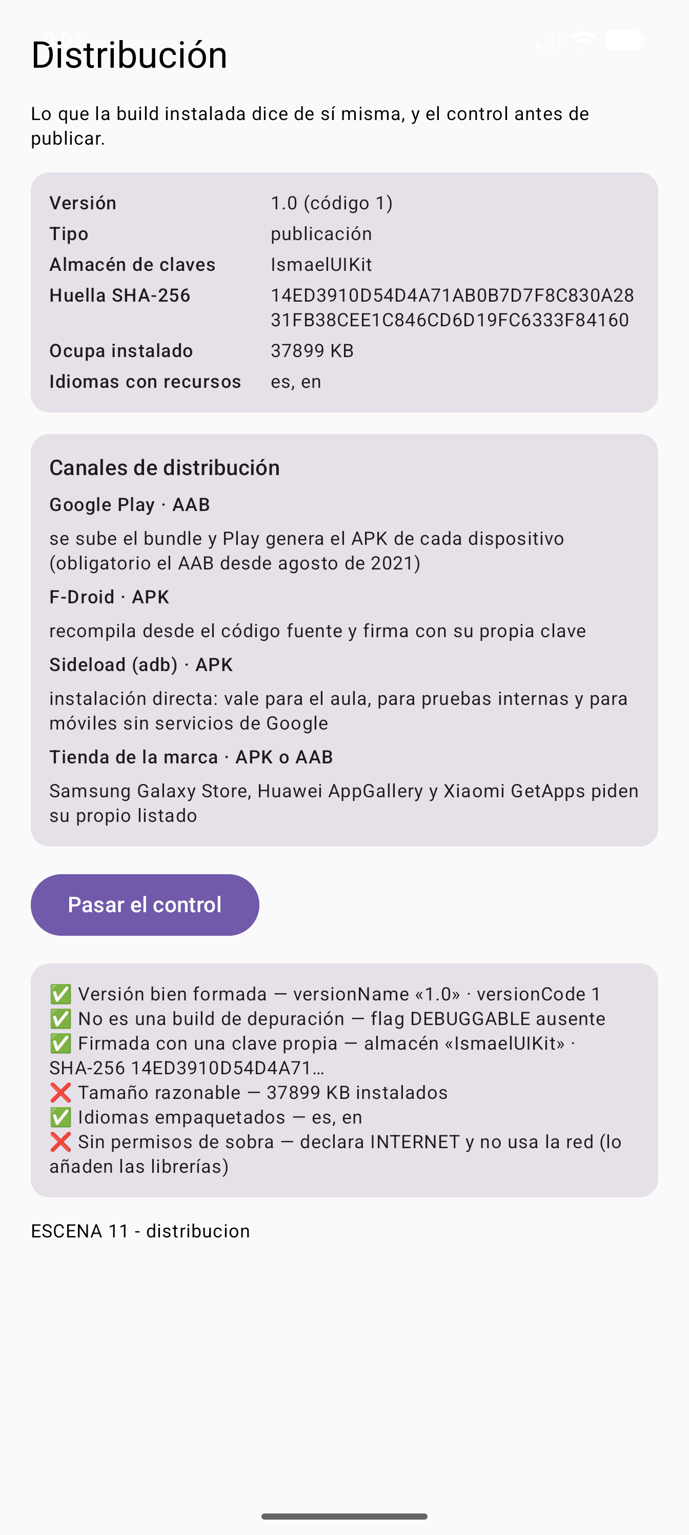 Comprobaciones pasadas sobre la build de publicación: cuatro correctas y dos fallos